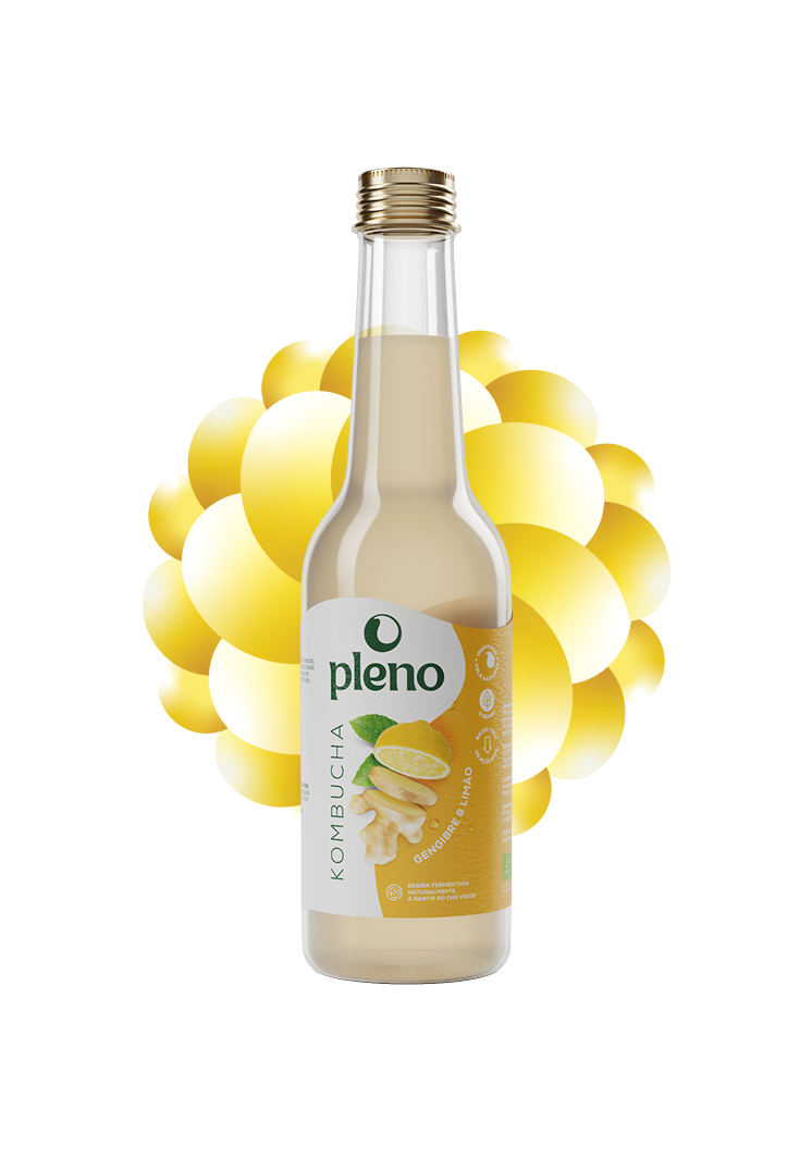 Kombucha Gengibre Hover