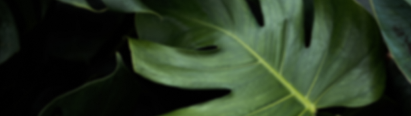 footer